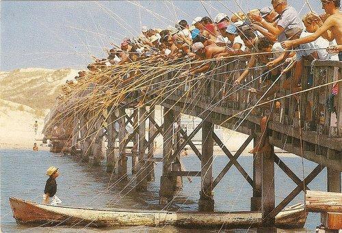 diverse - 6004945741461659473451548383131n.jpg